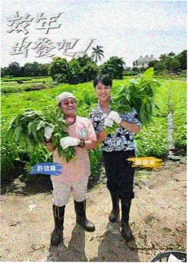 山海厨房 综艺在线观看完整版